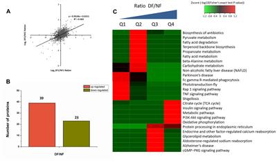 Quantitative Proteomic and Transcriptomic Analyses of Metabolic Regulation of Adult Reproductive Diapause in Drosophila suzukii (Diptera: Drosophilidae) Females